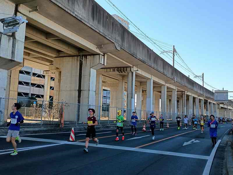 画像を挿入してください